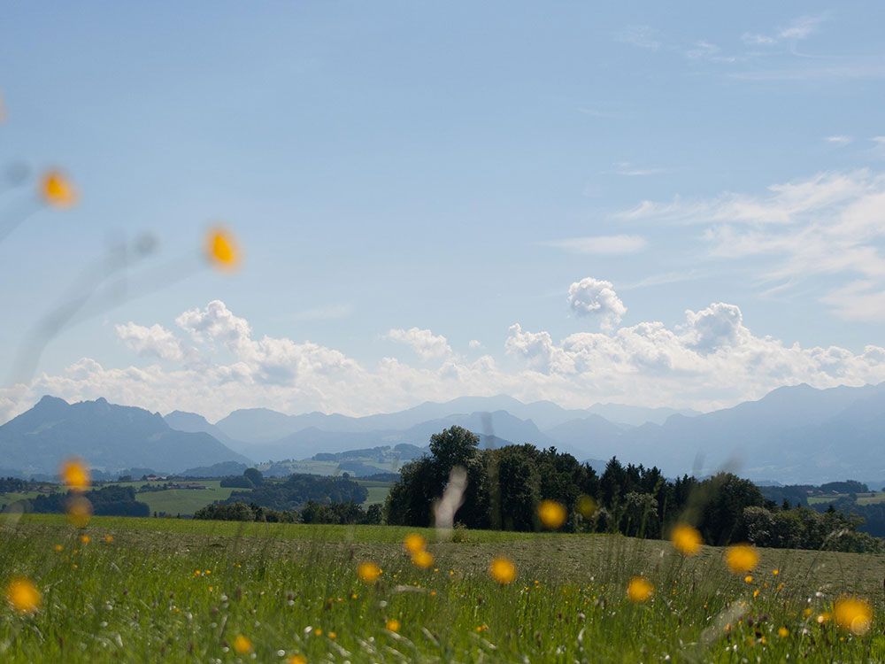 Wandern Urlaub am Chiemsee Ferienwohnung buchen von Privat